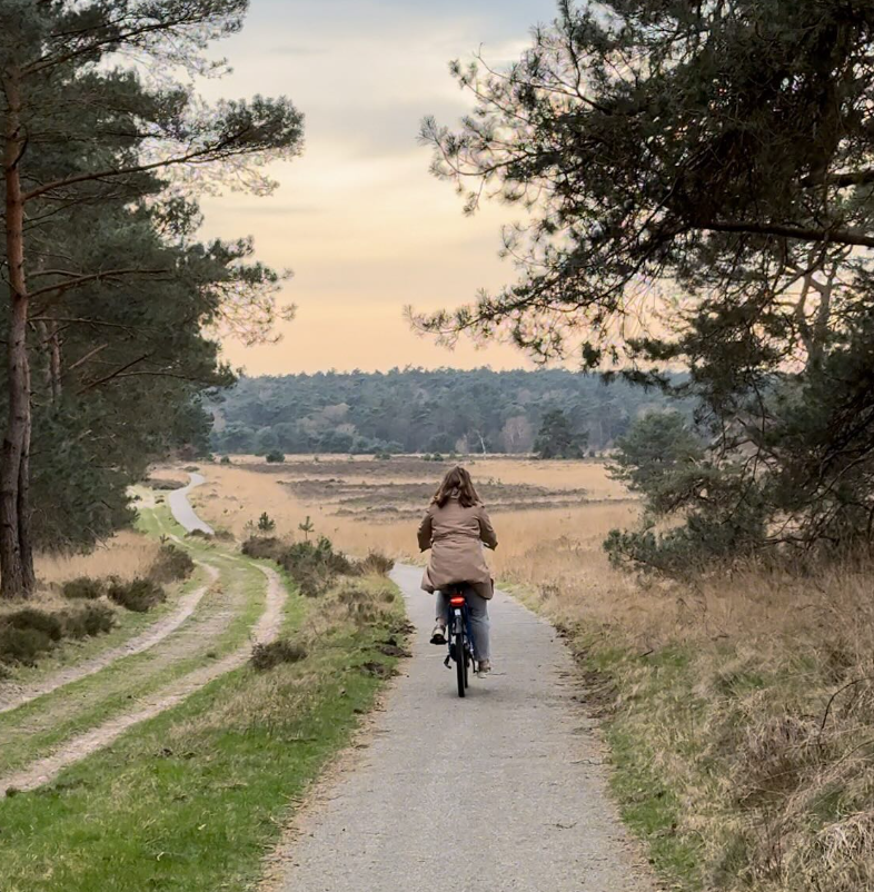 Radfahren durch den Nationalpark de Veluwe